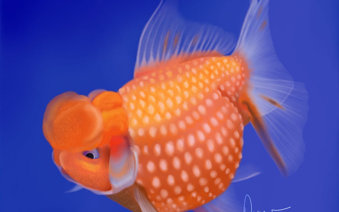 Goldfish